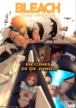 Bleach: Thousand-Year Blood War - The Calamity